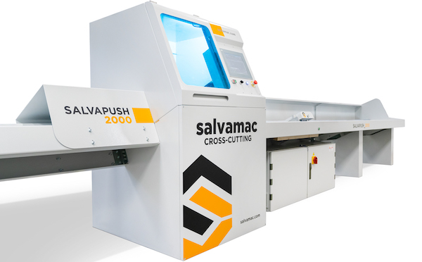 0123-salv-2022-3-372